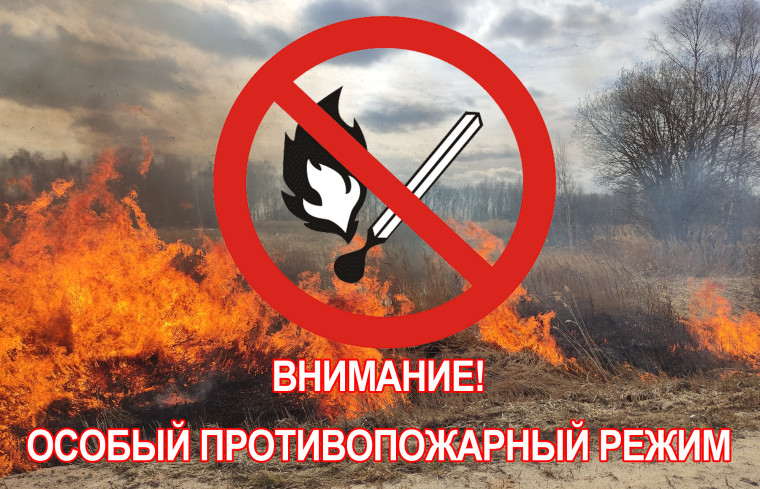 Памятка населению о мерах пожарной безопасности в период действия особого противопожарного режима.. Памятка населению о мерах пожарной безопасности в период действия особого противопожарного режима..