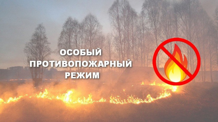Противопожарный режим. Противопожарный режим.